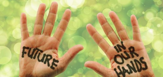 L’intérêt_écologique_d’une_entreprise