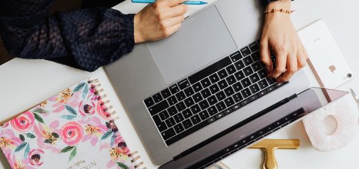 Le_rôle_et_le_fonctionnement_d’un_backlink