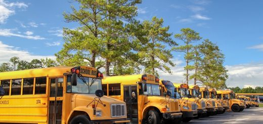 Comment_trouver_un_emploi_dans_le_transport?