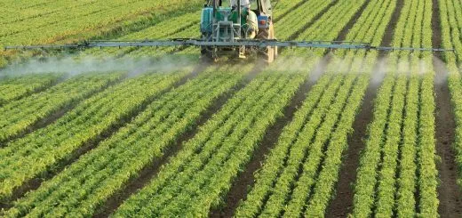 Où_trouver_un_avocat_spécialisé_en_droit_agricole_? Où_trouver_un_avocat_spécialisé_en_droit_agricole_?