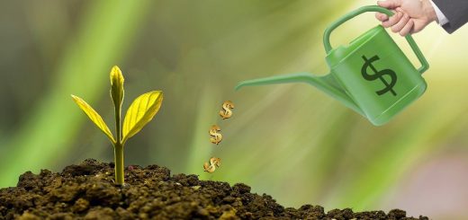 Comment_calculer_l_amortissement_de_votre_entreprise_?