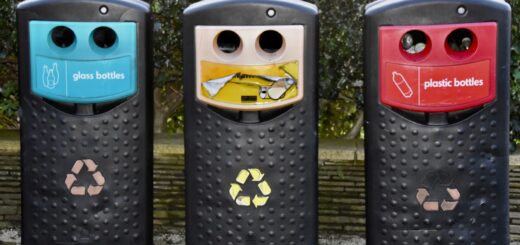 Quand_le_recyclage_booste_l_innovation_dans_votre_entreprise Quand_le_recyclage_booste_l_innovation_dans_votre_entreprise