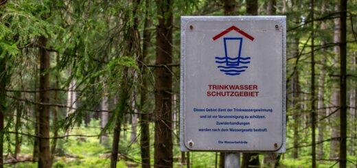 Comment_la_signalétique_personnalisée_peut_transformer_votre_entreprise_?