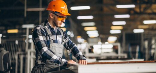 L_alternance,_un_apprentissage_pour_faciliter_l_insertion_professionnelle_