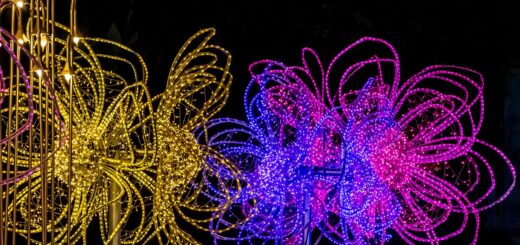 Pourquoi_chaque_entreprise_devrait_investir_dans_une_enseigne_lumineuse_LED Pourquoi_chaque_entreprise_devrait_investir_dans_une_enseigne_lumineuse_LED