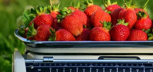 Équilibrer_la_précision_et_l_efficacité_:_utilisation_des_balances_professionnelles Équilibrer_la_précision_et_l_efficacité_:_utilisation_des_balances_professionnelles