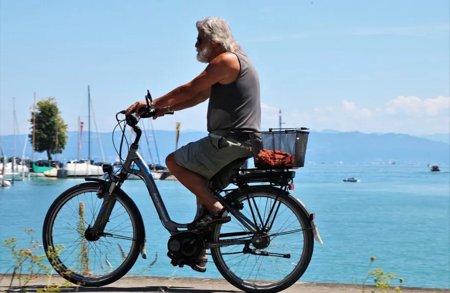 Gorille_Cycles_:_le_vélo_électrique,_la_mobilité_de_demain