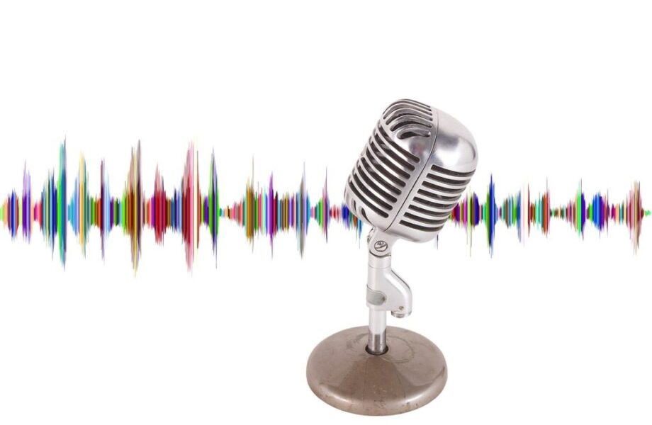 Comment_installer_et_utiliser_Google_Voice_Access_sur_Android_?