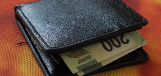 porte feuille porte feuille