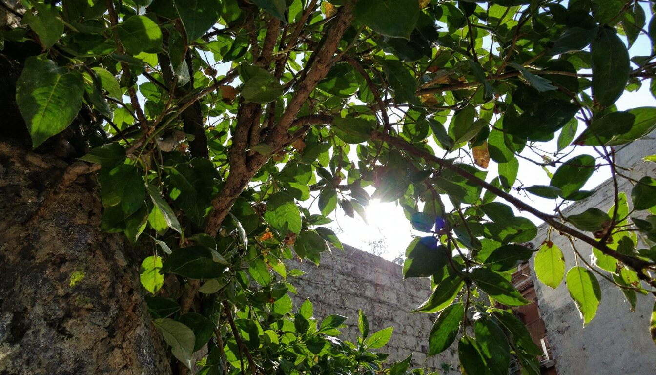 avantage sci immobilière