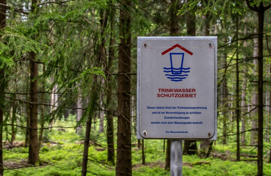 Comment_la_signalétique_personnalisée_peut_transformer_votre_entreprise_?