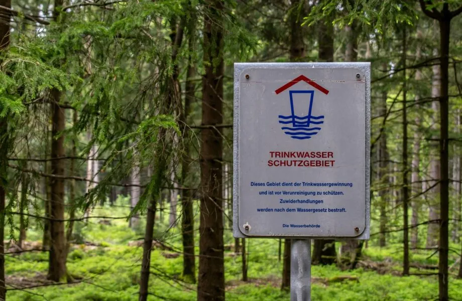 Comment_la_signalétique_personnalisée_peut_transformer_votre_entreprise_?