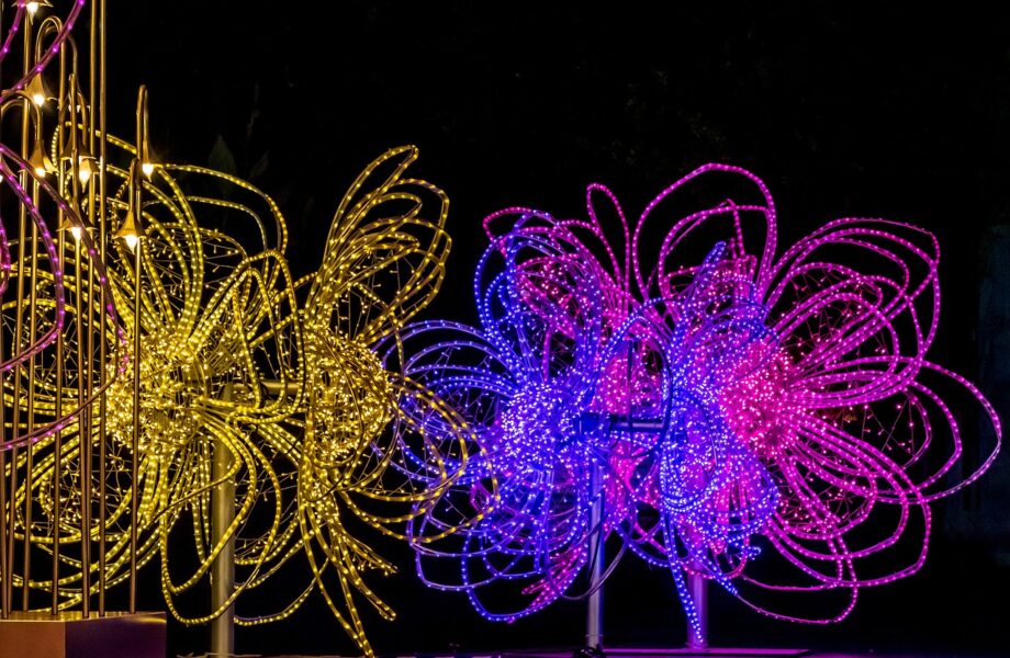 Pourquoi_chaque_entreprise_devrait_investir_dans_une_enseigne_lumineuse_LED