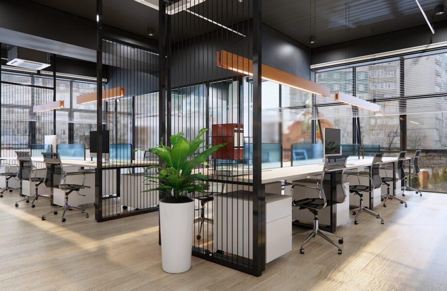 Pourquoi_la_décoration_de_bureau_est_elle_indispensable_pour_votre_entreprise