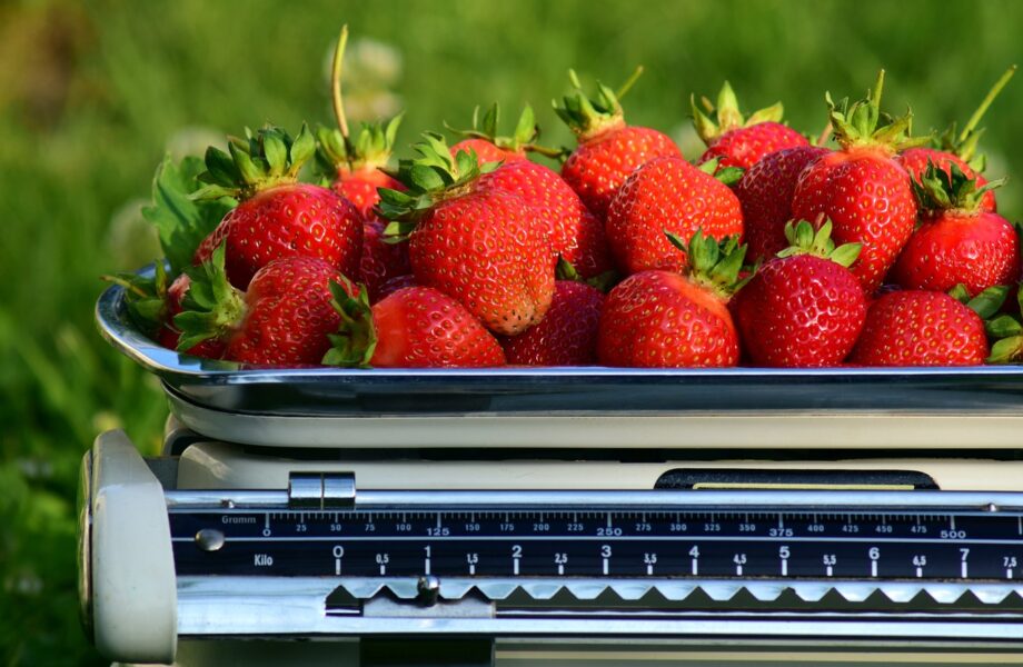 Équilibrer_la_précision_et_l_efficacité_:_utilisation_des_balances_professionnelles