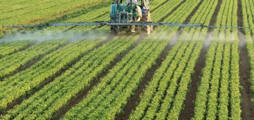 Où_trouver_un_avocat_spécialisé_en_droit_agricole_?