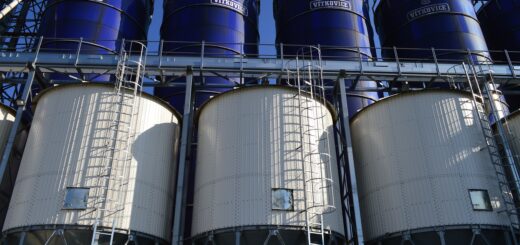 Optimiser_le_stockage_en_silo_:_l_atout_secret_des_entreprises_innovantes